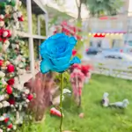 Single Flowers - Blue